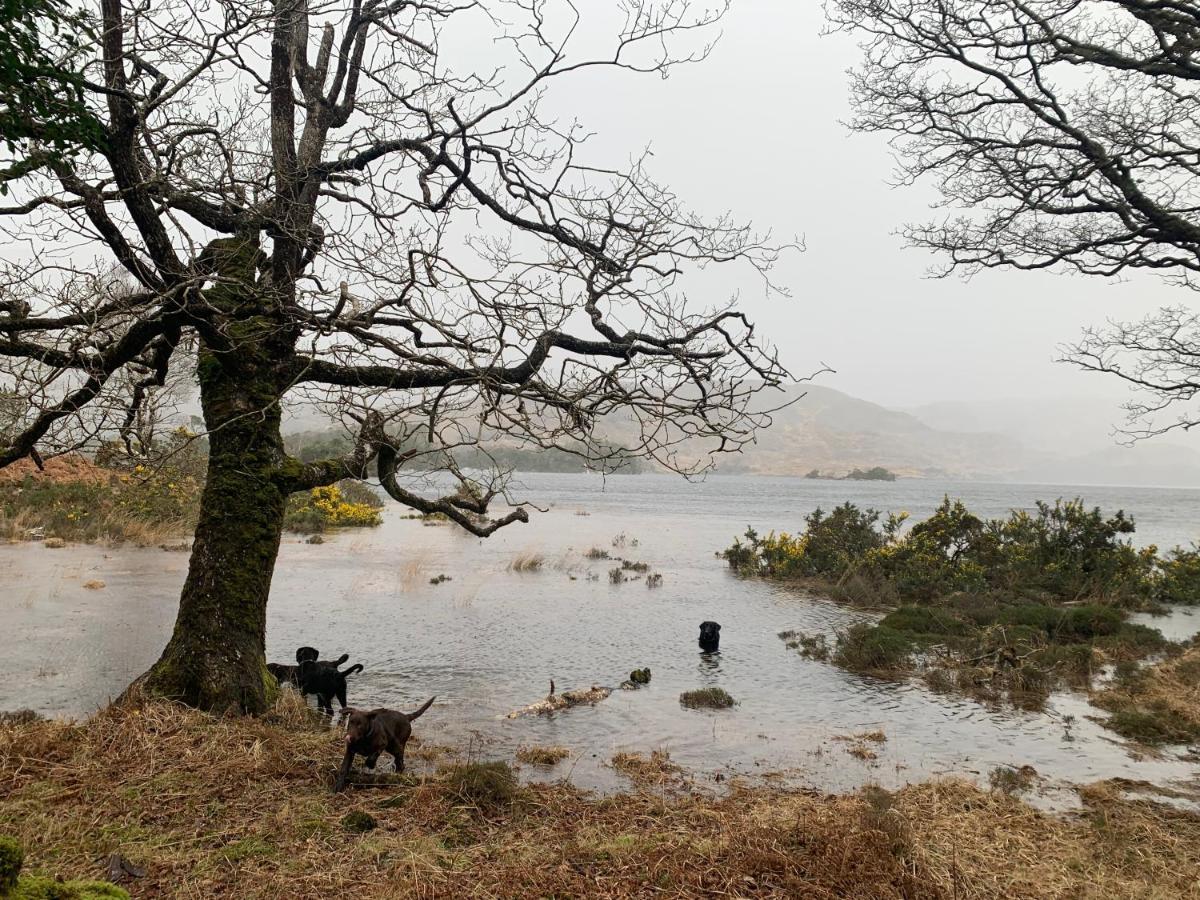 Cillcearn House Bed & Breakfast Killarney Bagian luar foto