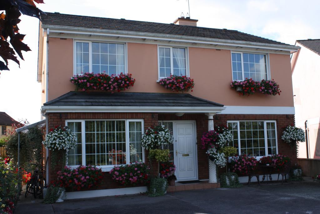 Cillcearn House Bed & Breakfast Killarney Bagian luar foto